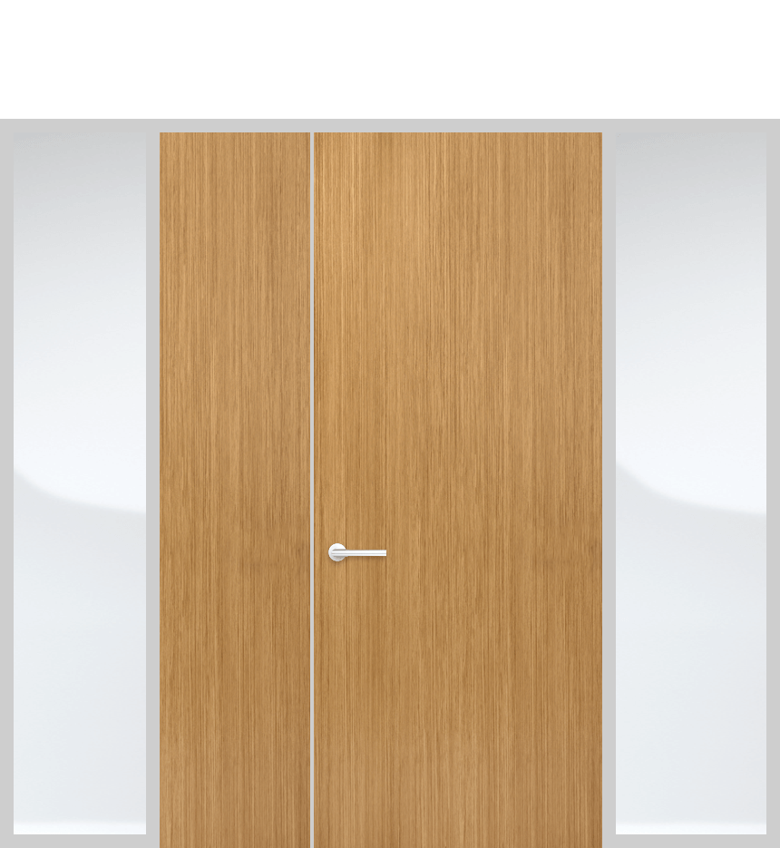 Door panel with side lights and solid panel