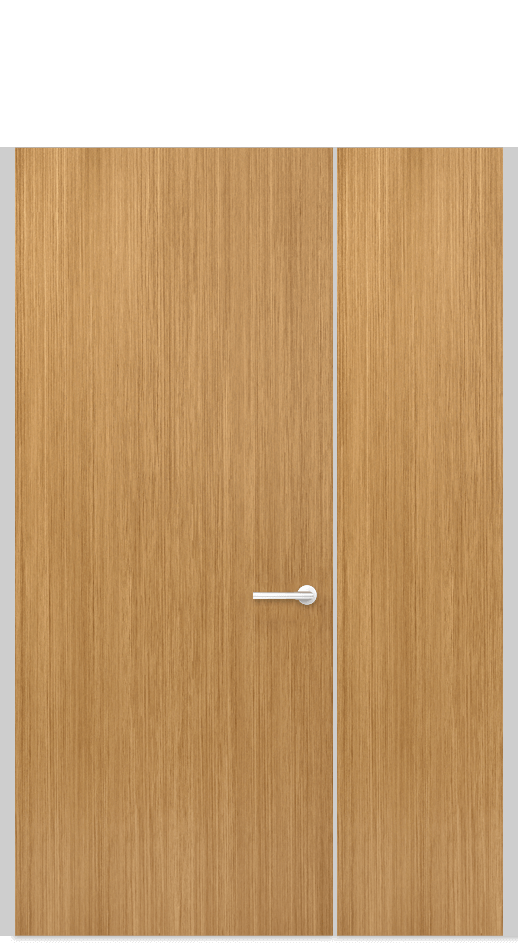 Door Panel with side panel semi frameless