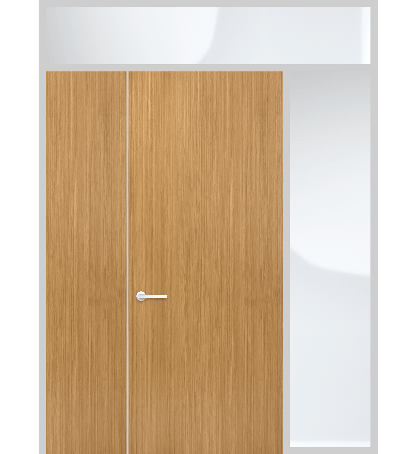 Door panel with top and side lights and solid panel