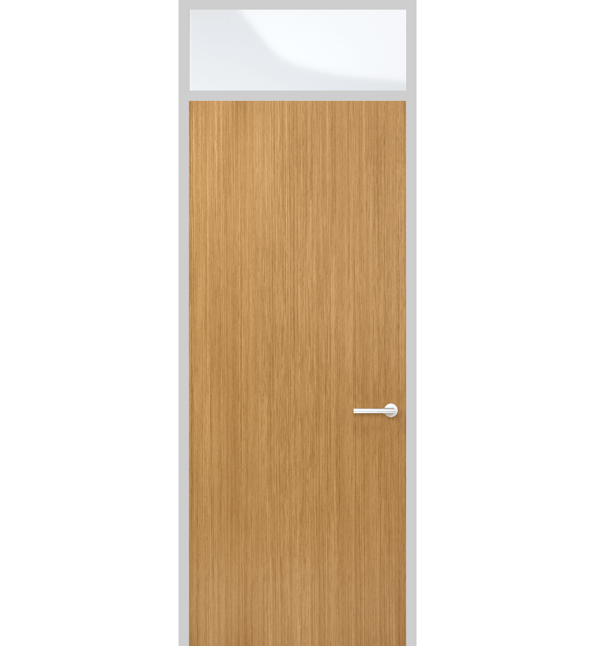 Door panel with top light and solid panel