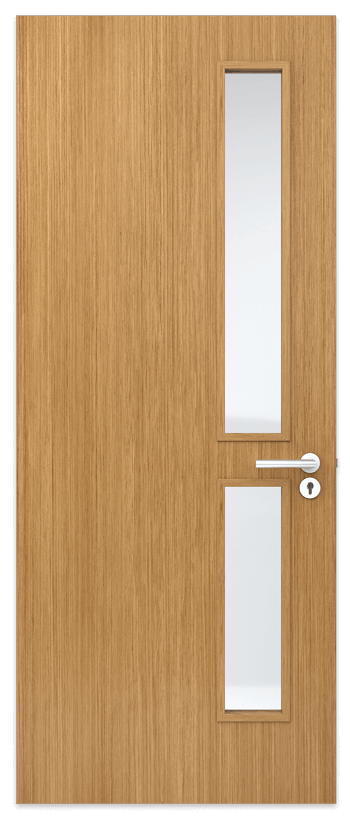 Door panel with 2 vision panels
